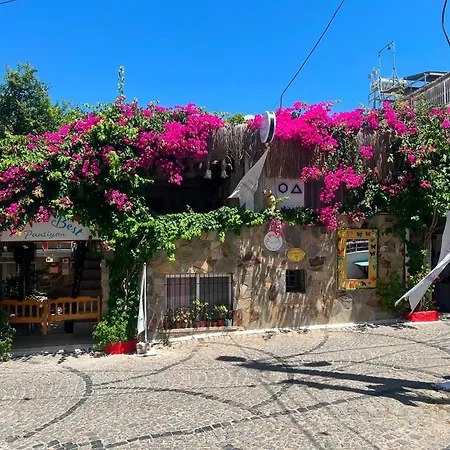 La Viva Hotel *